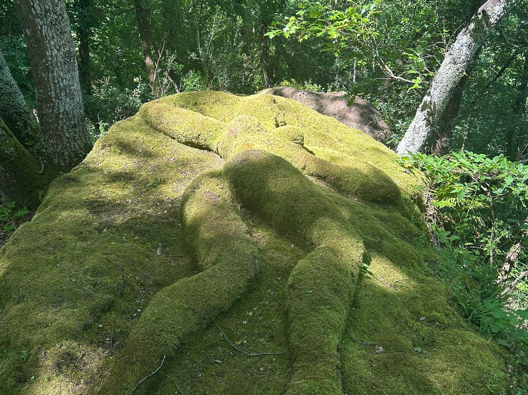 Opera Bosco - Museo di Arte nella Natura-Calcata必去景点