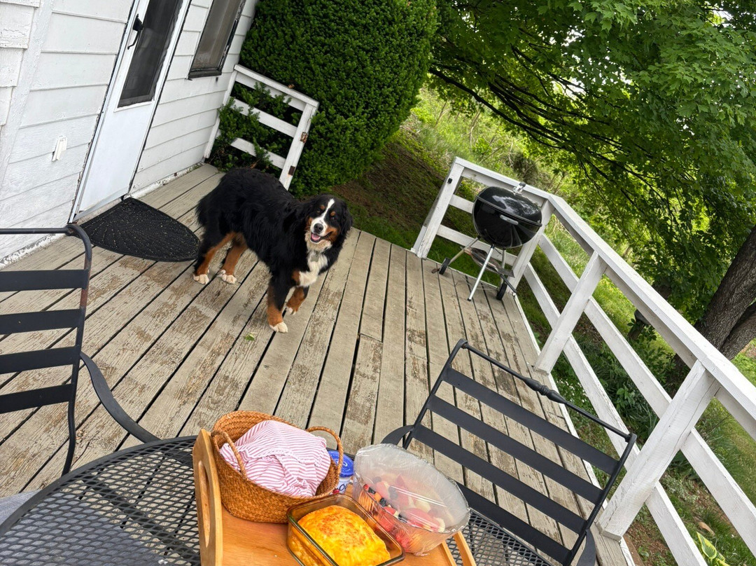 Sharp Rock Vineyards-Sperryville必去景点