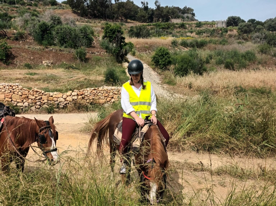 Lino's Stables-Xaghra必去景点