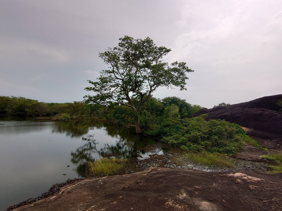 Thonigala Rock Inscriptions-Thonigala必去景点