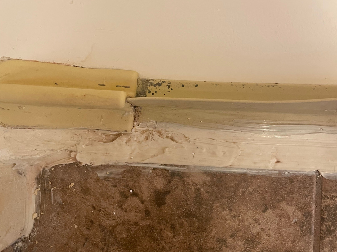 Homewood Suites By Hilton Denton主图