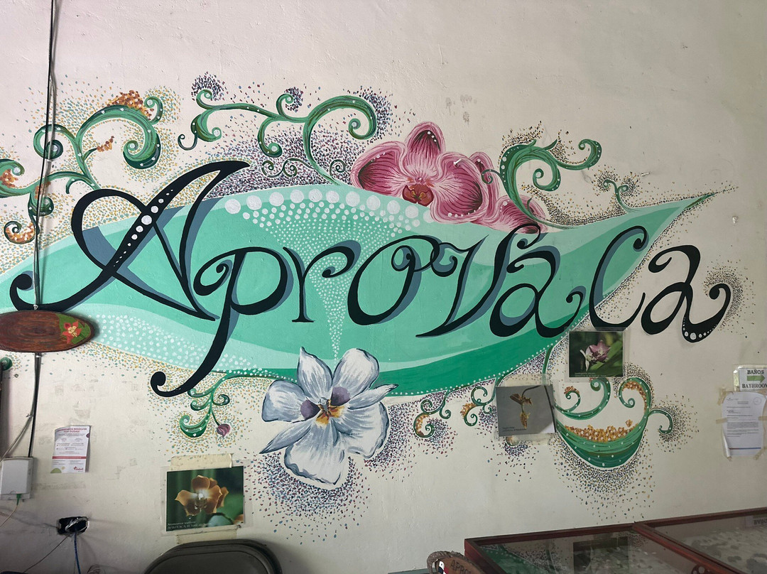 Aprovaca (The Orchid Nursery & Conservation Center)-安东谷必去景点