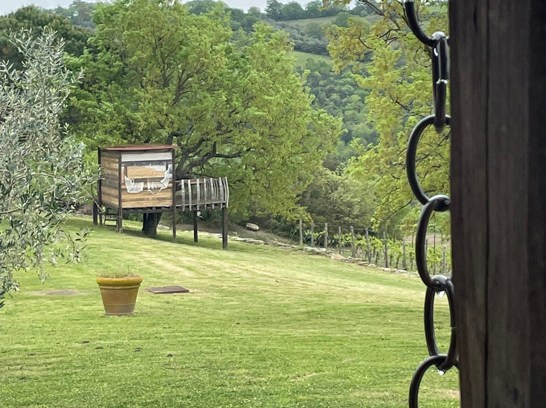 Azienda Agricola Diegale-Civitella Marittima必去景点