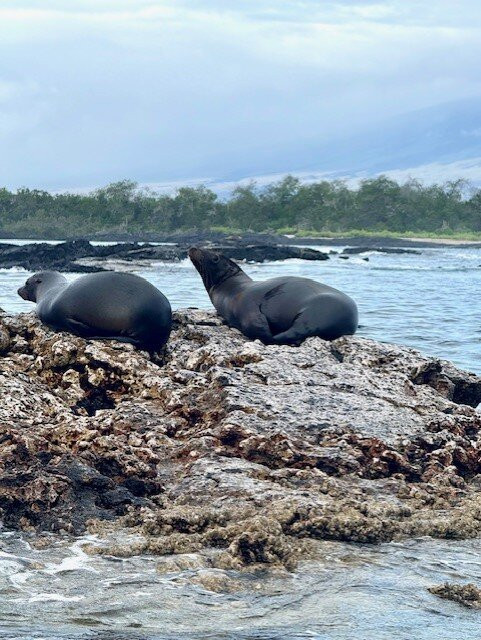 Yacht Anahi-阿约拉港必去景点