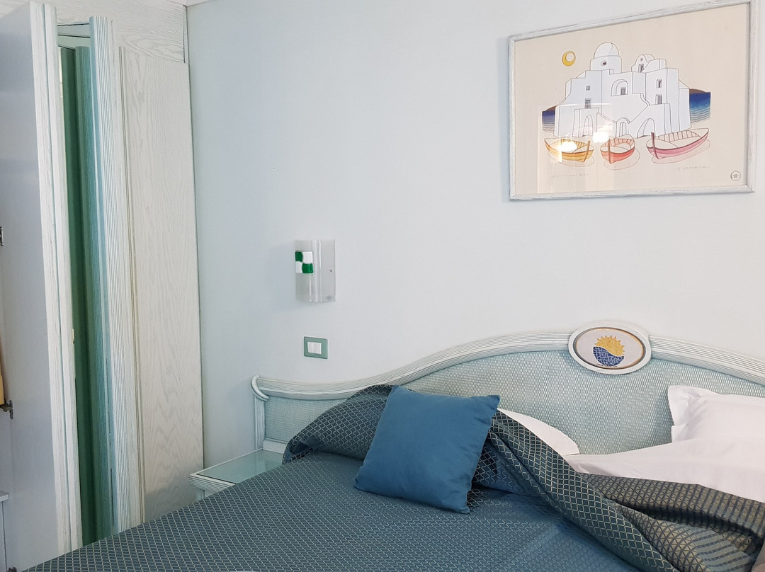 Hotel Bellevue Benessere e Relax主图