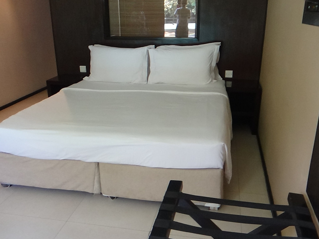 萨法瑞酒店主图