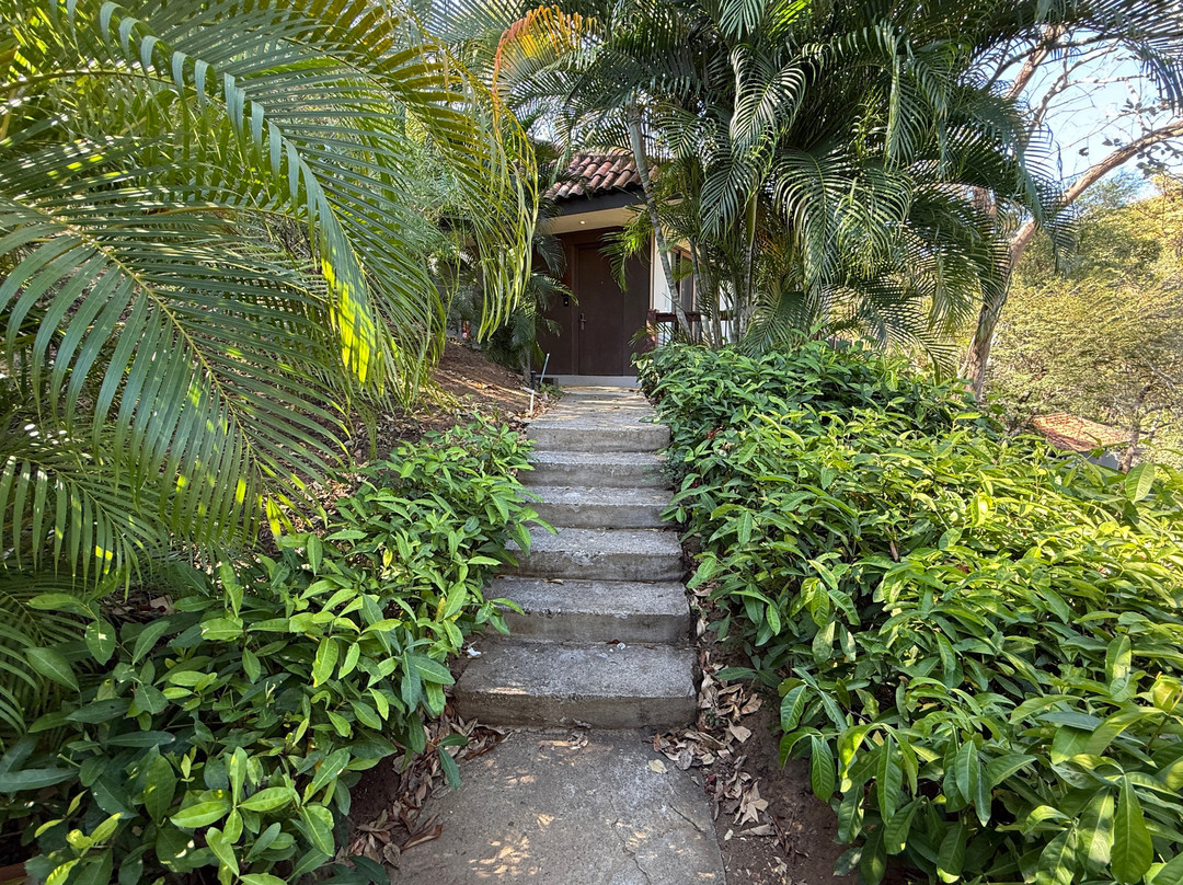 Secrets Papagayo Costa Rica主图