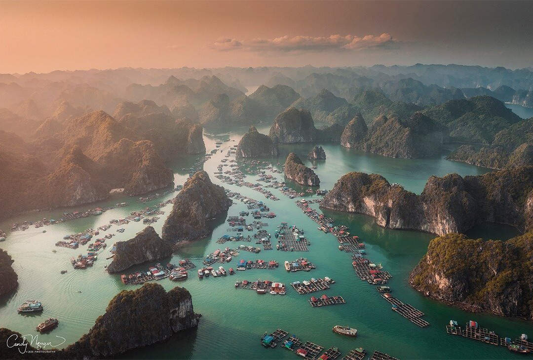 Blue Swimmer Outdoors景点图片