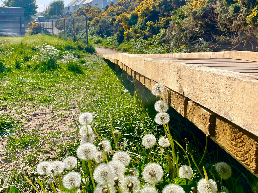 Donmouth Local Nature Reserve-阿伯丁必去景点