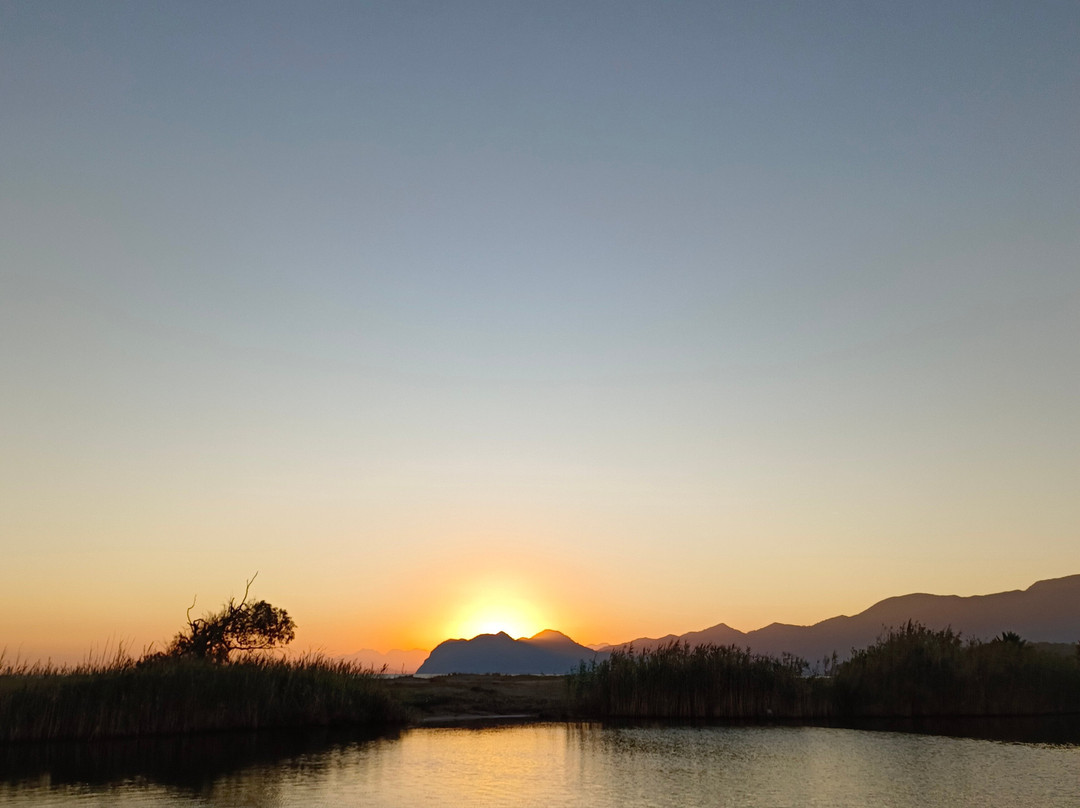 Dalyan Likya Boat景点图片