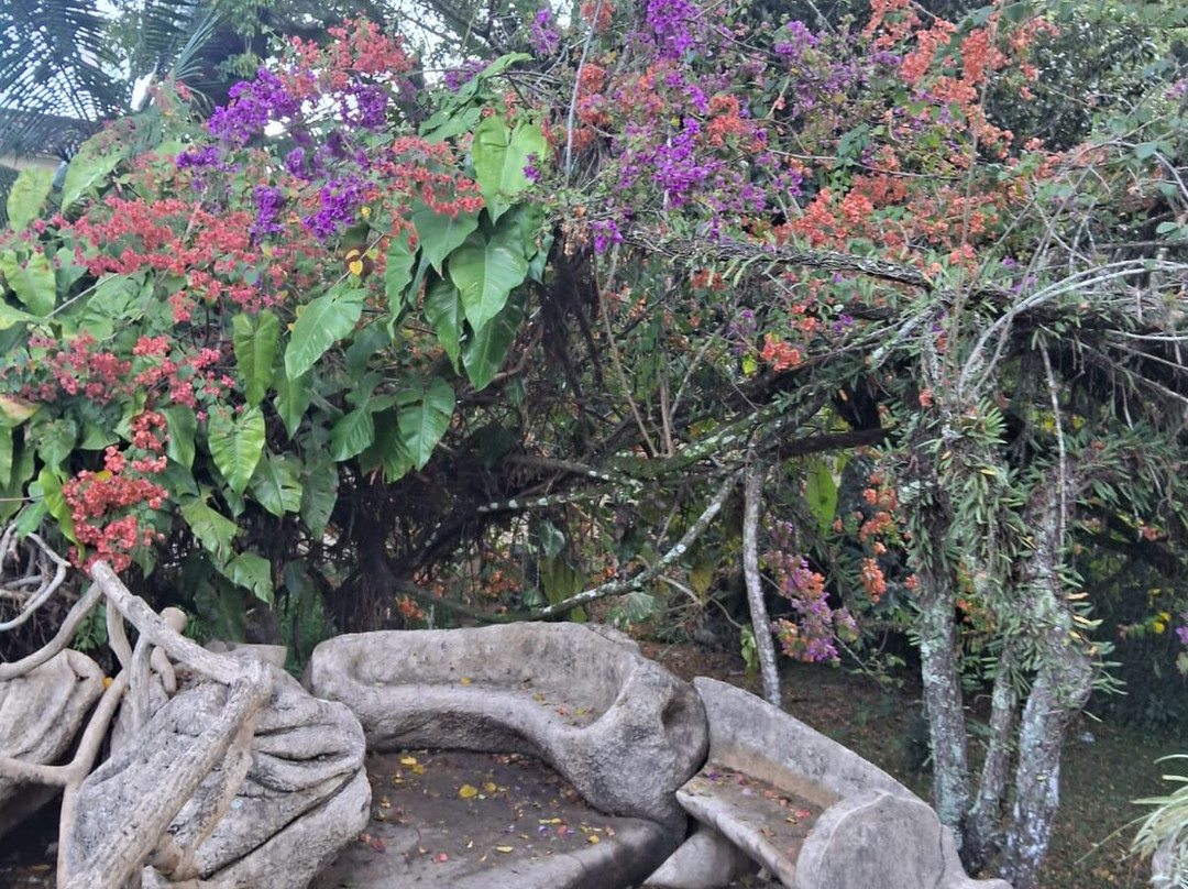 Parque das Águas-Caxambu必去景点