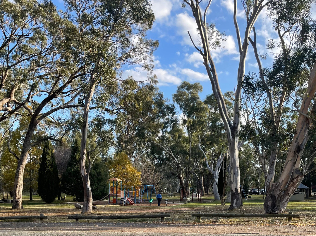 Victoria Street Playground景点图片