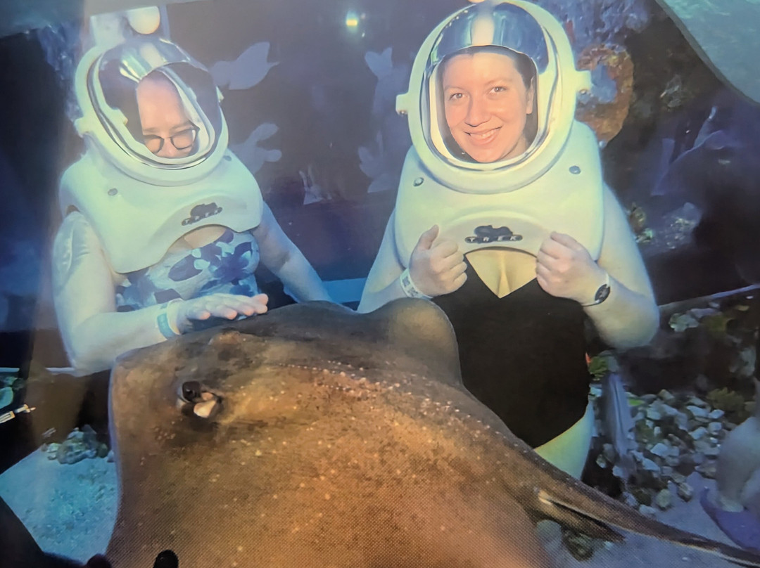 互动式水族馆景点图片