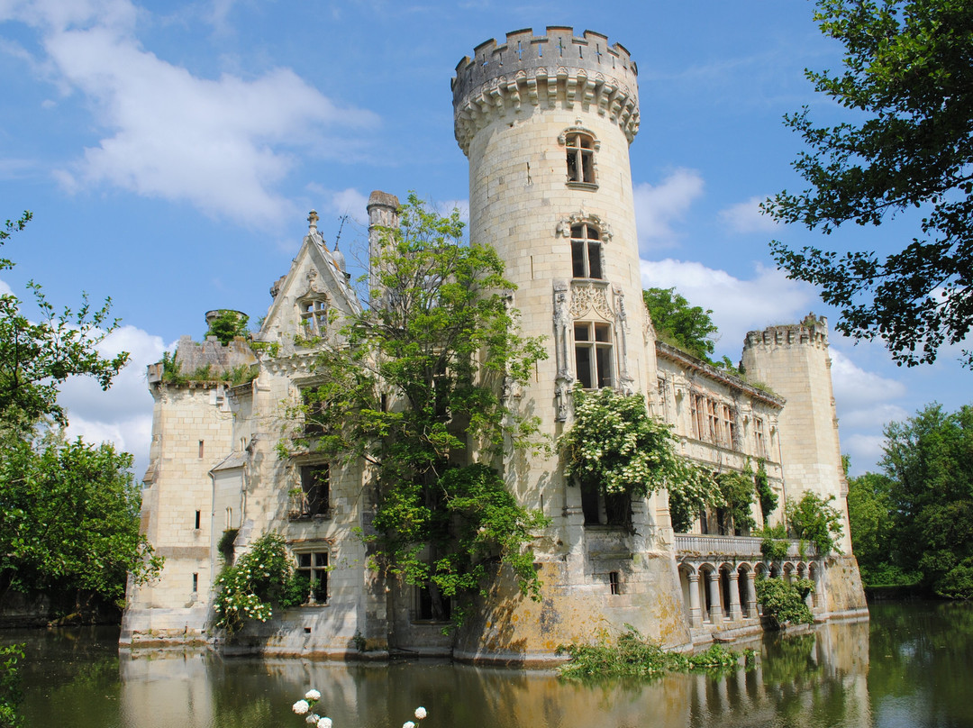 Château de la Mothe Chandeniers景点图片