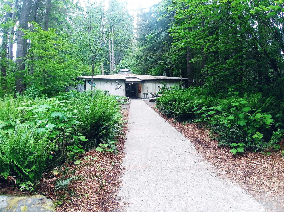 Lynn Canyon Ecology Centre-北温哥华必去景点