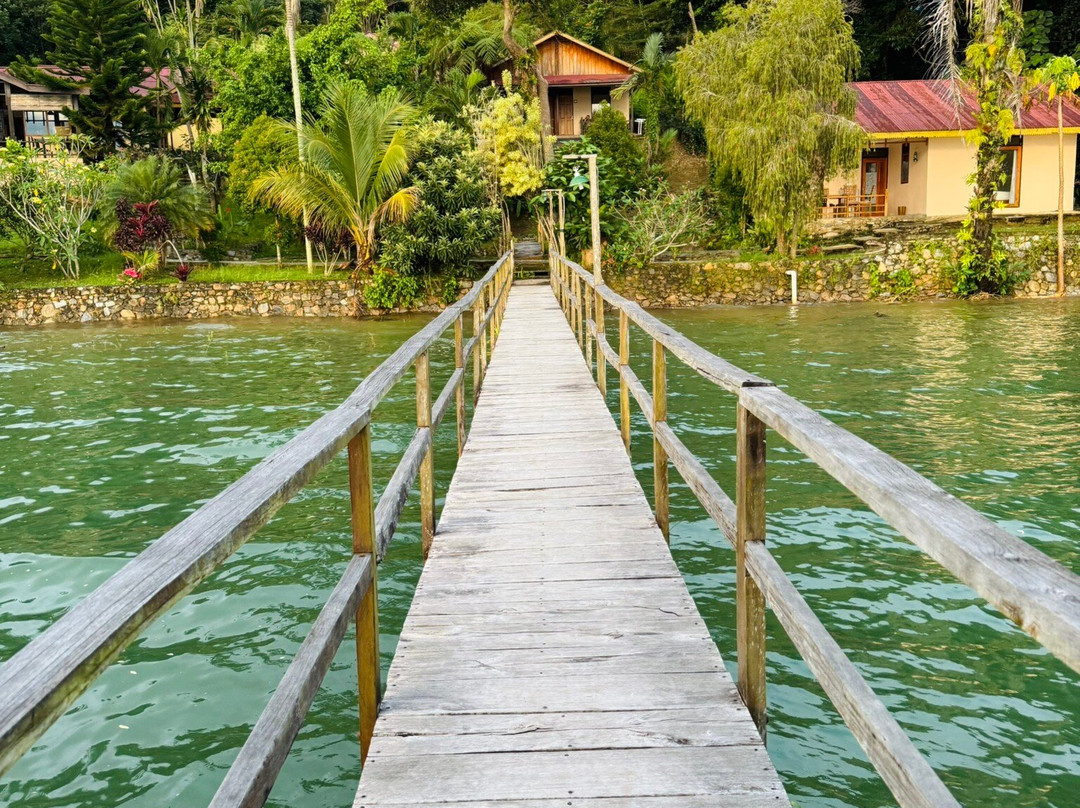 Dolidi Ndano Towale主图