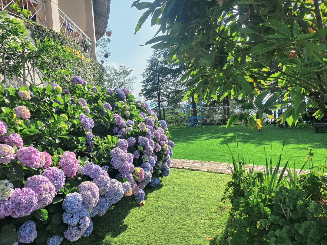 Sattal Forest Resort主图