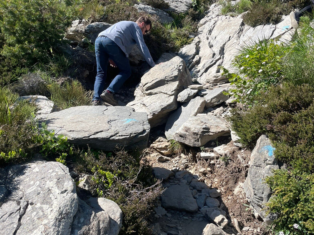 Mont Gerbier de Jonc-Saint-Martial必去景点