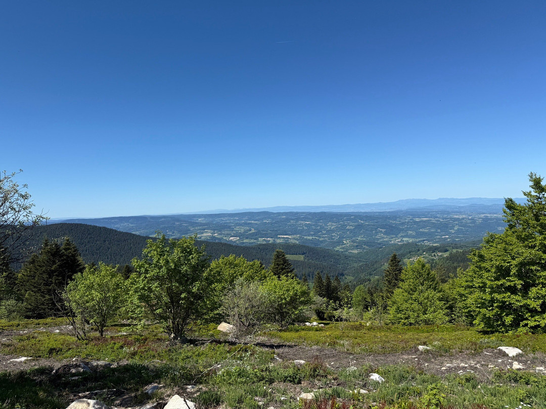 La Maison Du Chevalier主图