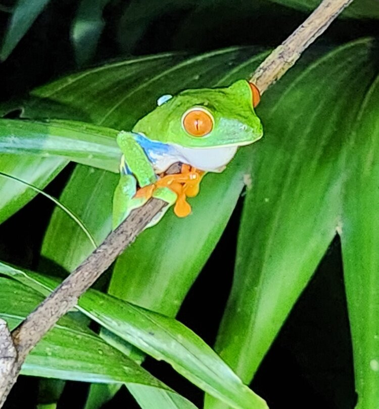 Costa Rica Experts景点图片