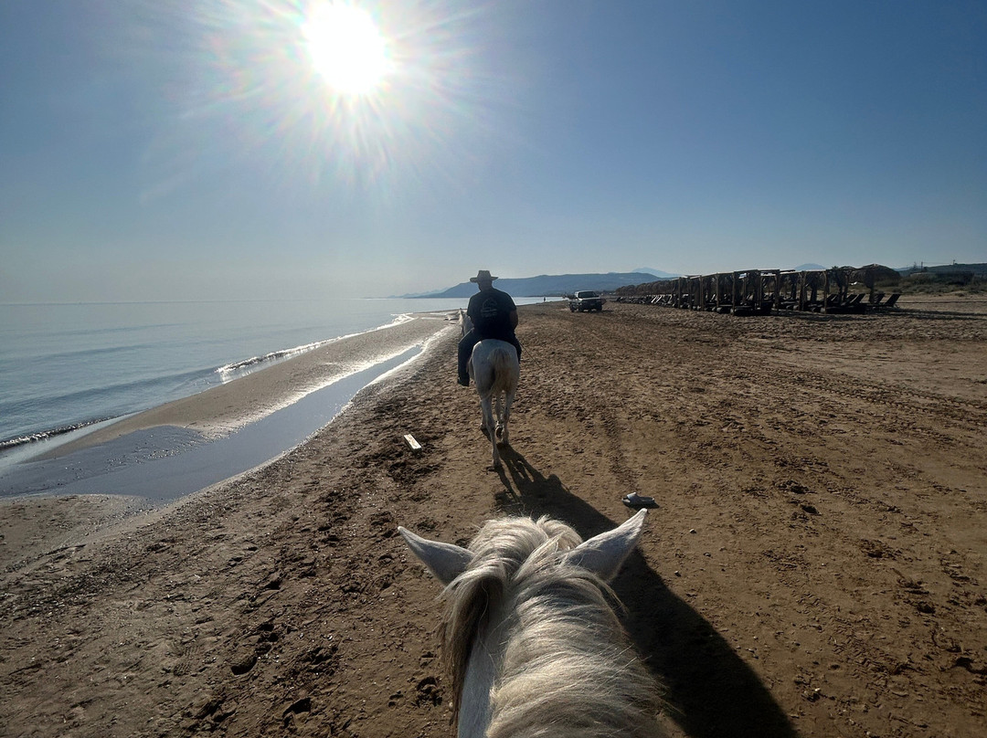 Horseriding Georgoupolis/ Grillo's Stable景点图片