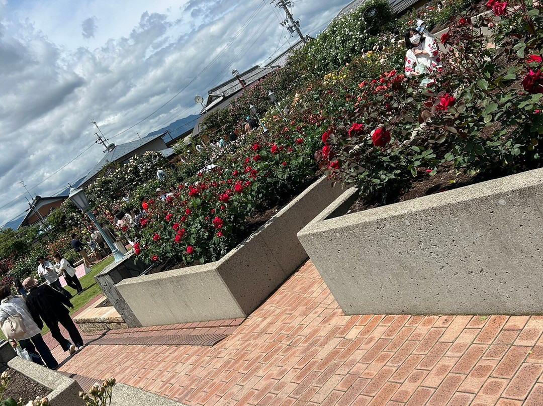 Onocho Rose Park-小野町必去景点