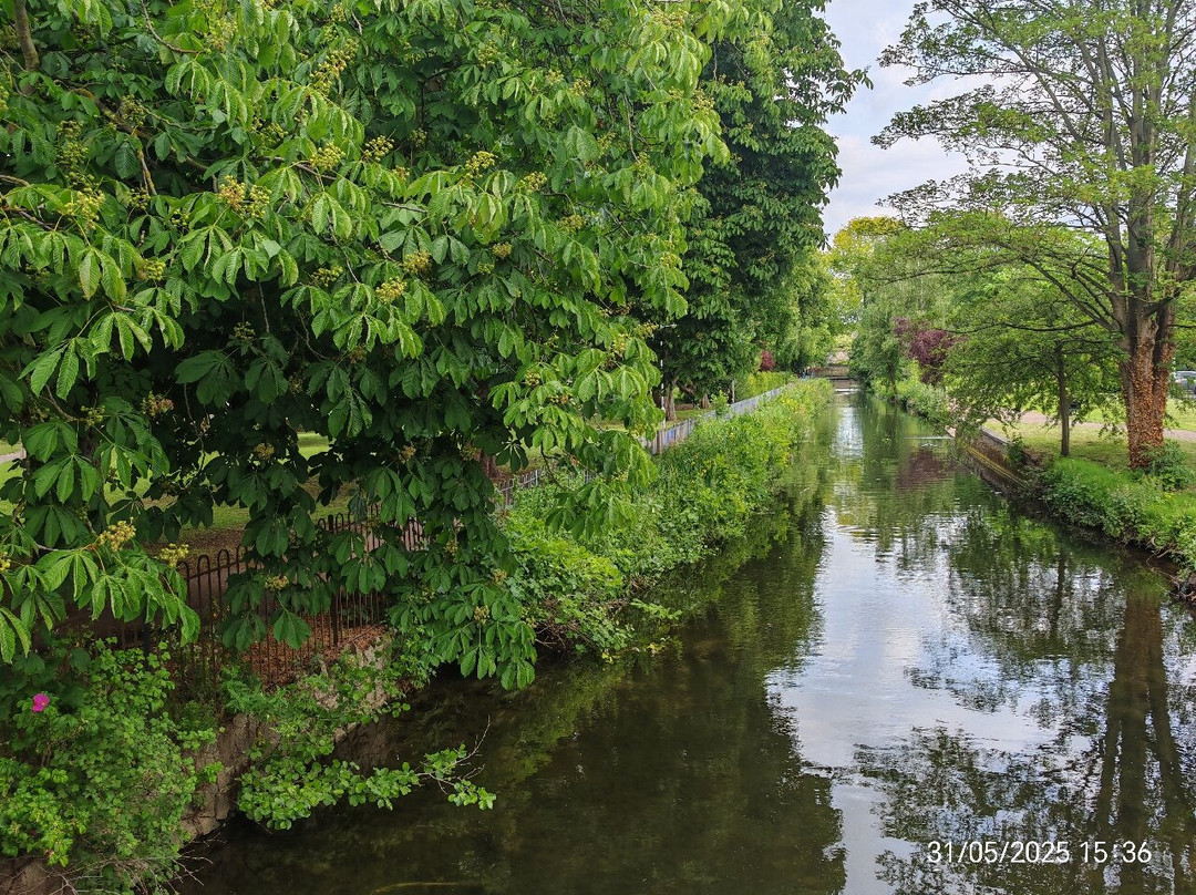 The Canch Park-沃克索普必去景点