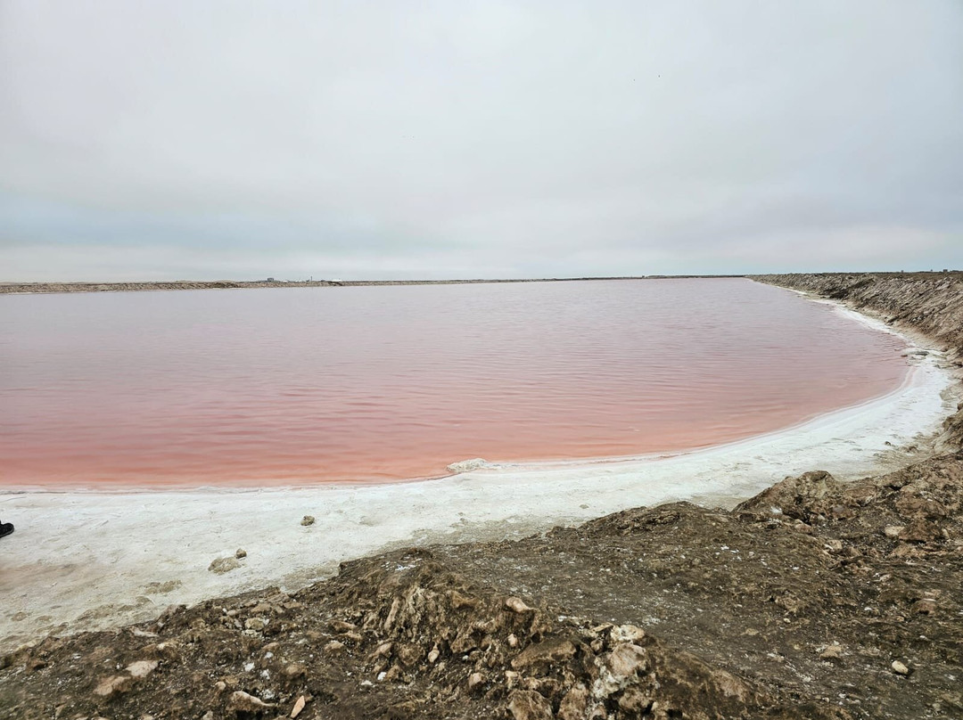 iVenture Sandwich Harbor Tours & Guides-华维斯湾必去景点