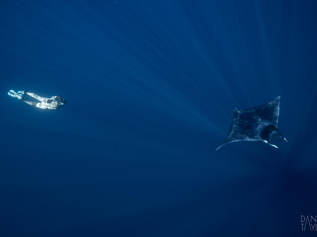 Uncharted Expeditions-圣何塞卡波必去景点