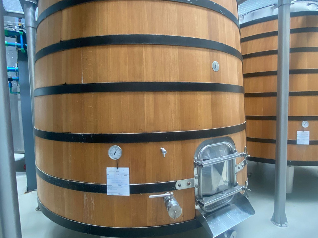 Ribafreixo Wines-Vidigueira必去景点