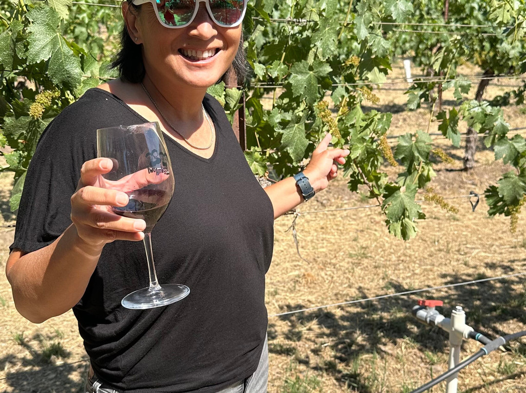 Two Amigos Winery景点图片