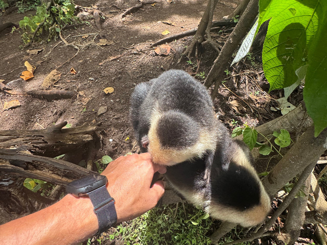 Mango's Adventures景点图片