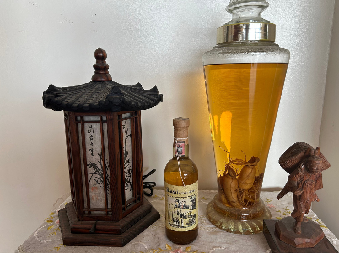 San Fernando La Union酒店住宿-Balay Ni Manuel Ken Maria Boutique Hotel