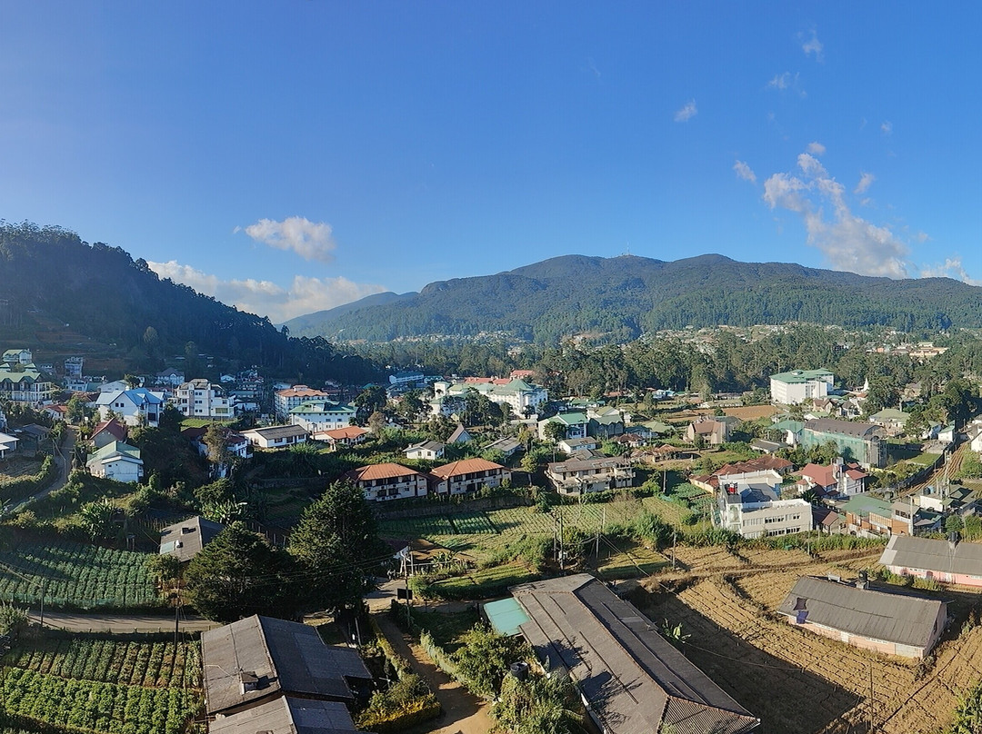 Umigo Lanka Tours-Ganemulla必去景点