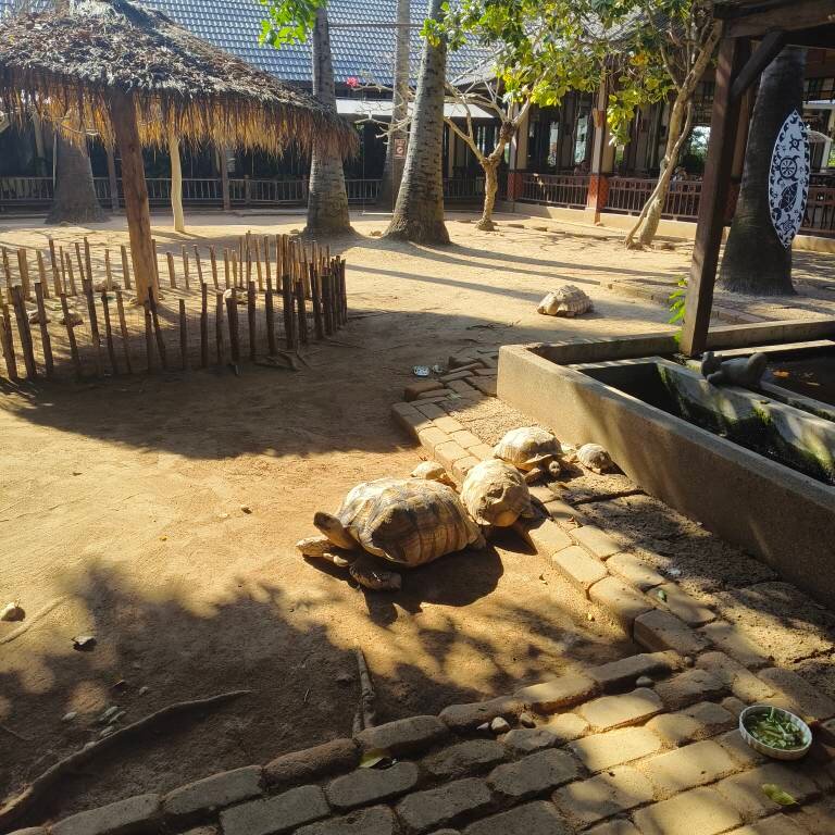 芭特尼海滩度假酒店-浴室