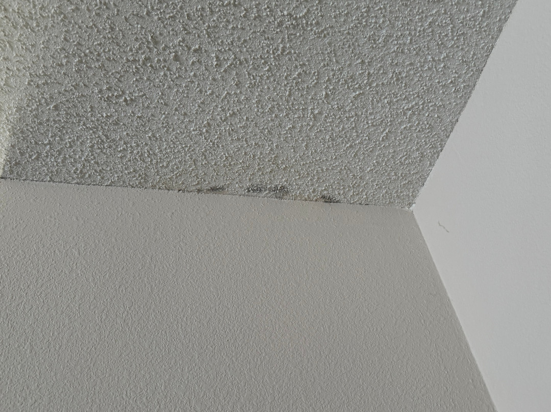 Quality Inn High Point - Archdale主图