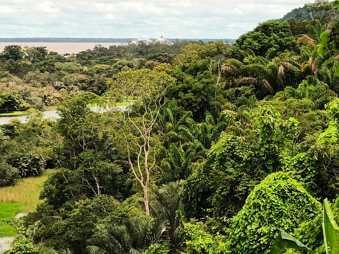 Boca de Valeria  Village-Ilha de Tinhare必去景点