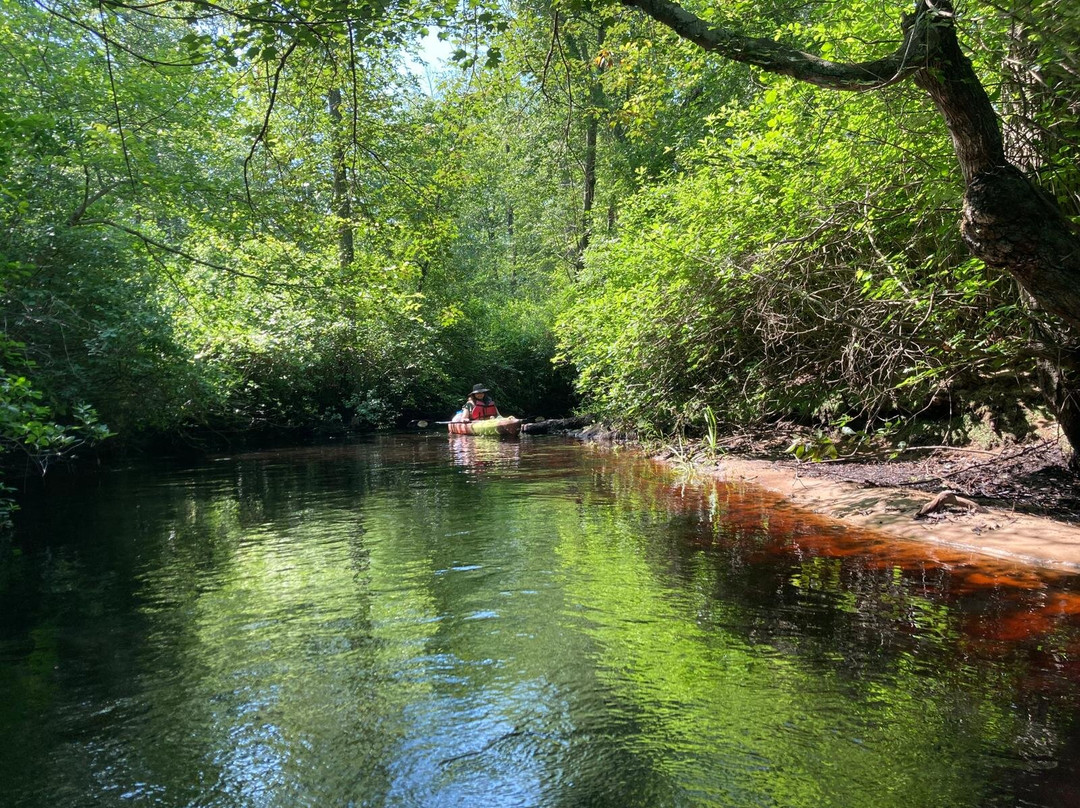 Pinelands Adventures-Shamong必去景点