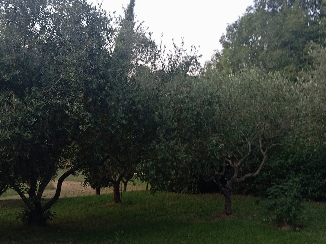 B&B La Collina Dorata主图