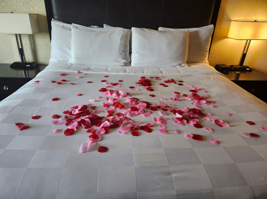 Lloyd Hotel Astoria Bayfront, Ascend Hotel Collection主图