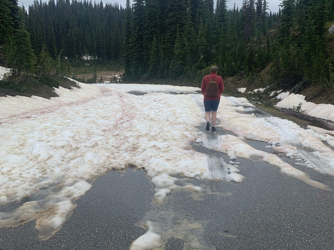 Meadows in the Sky Parkway-雷夫尔斯托克必去景点
