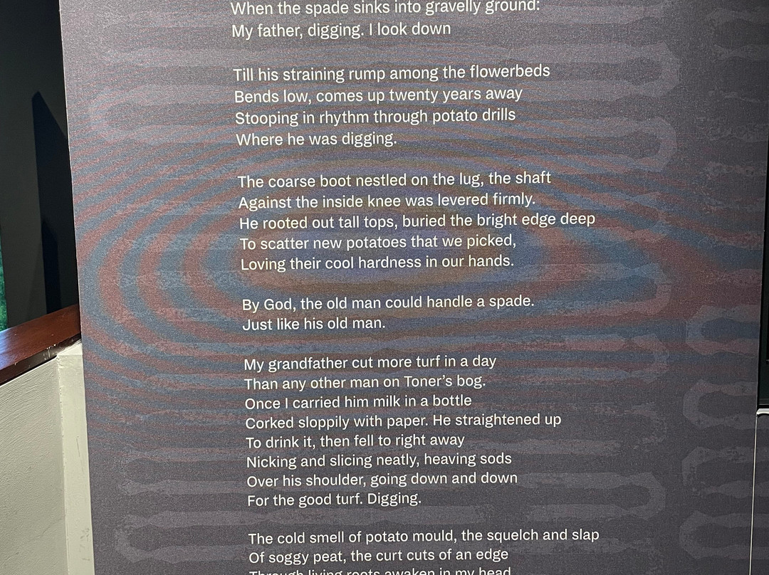 Seamus Heaney: Listen Now Again-都柏林必去景点