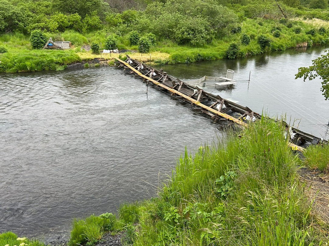 Head Shakers Kodiak-Kodiak必去景点