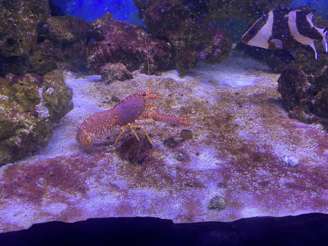 East Idaho Aquarium-爱达荷福尔斯必去景点