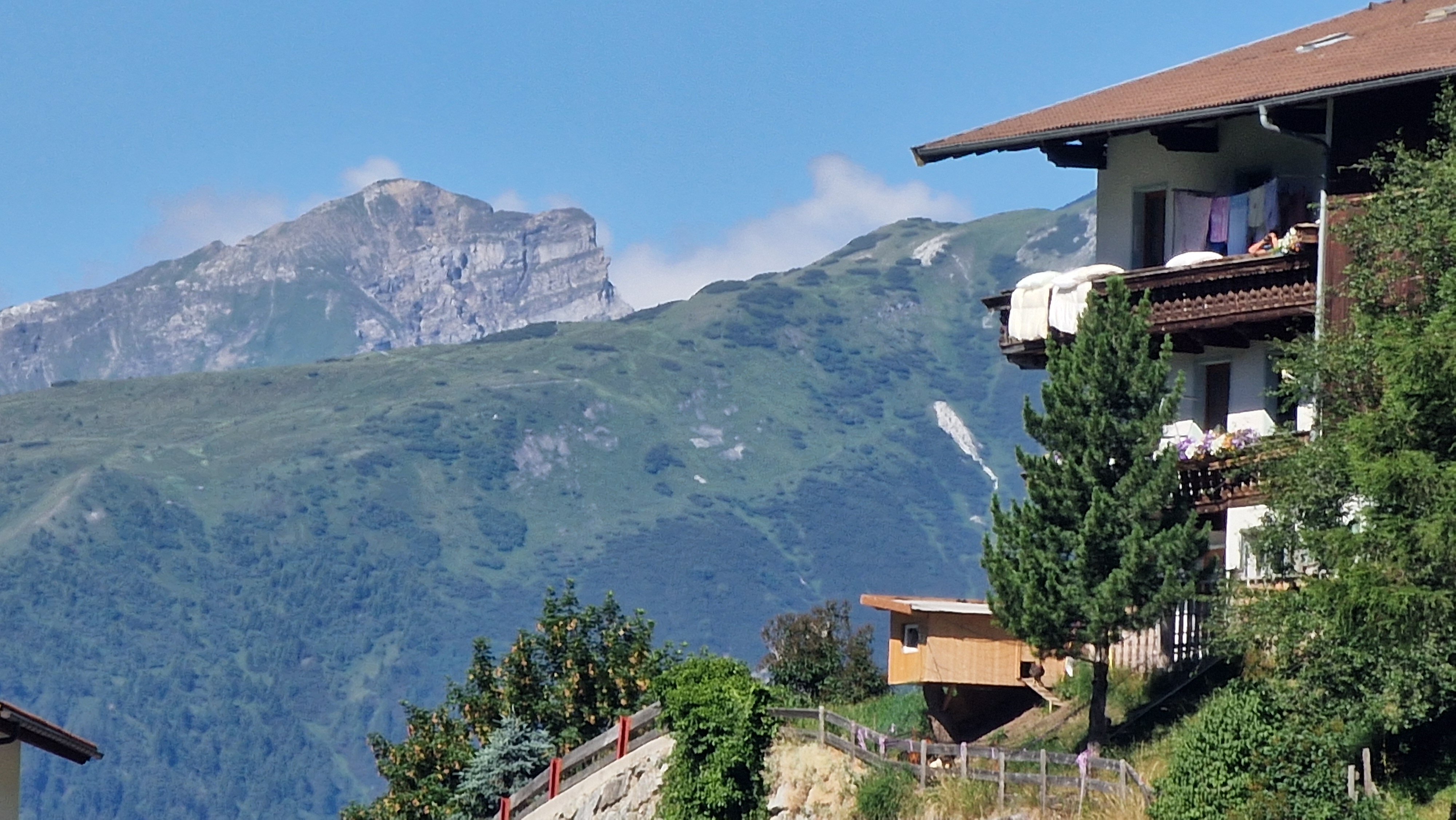 Alpengasthof Eppensteiner-酒店景观