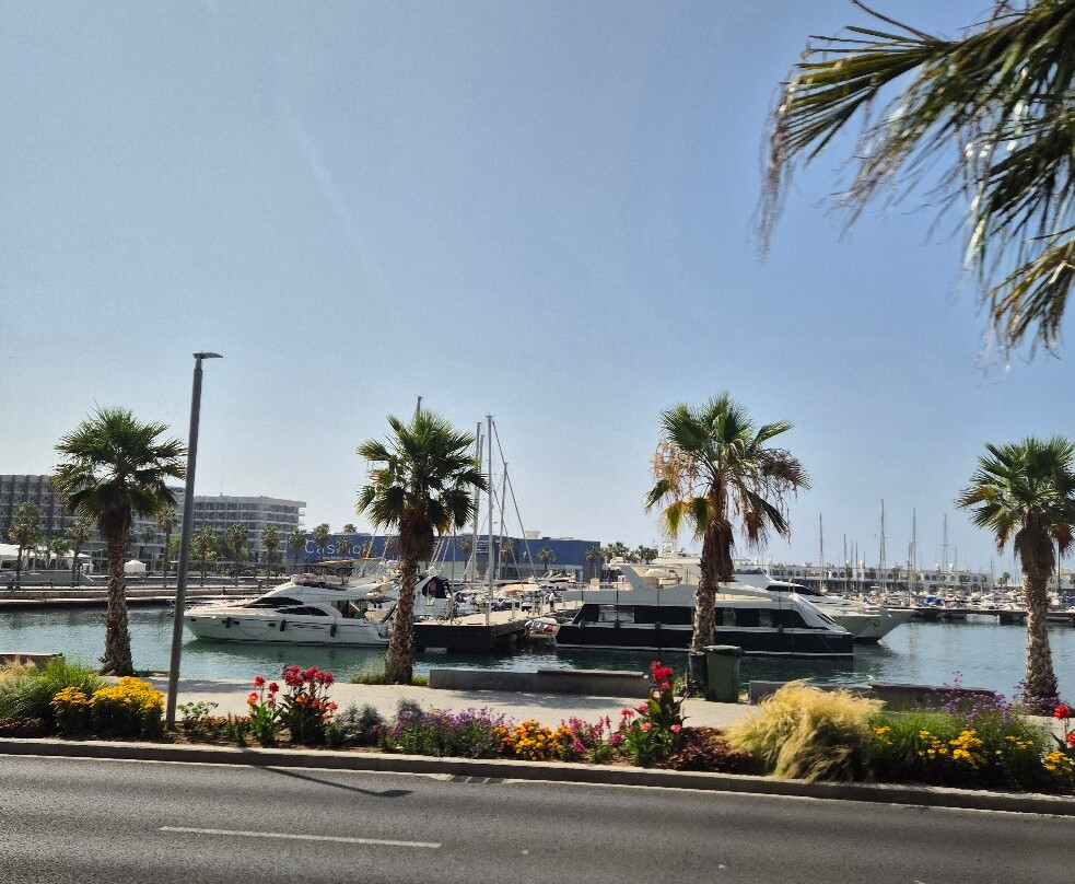 Paseo del Puerto Viejo-阿利坎特省必去景点