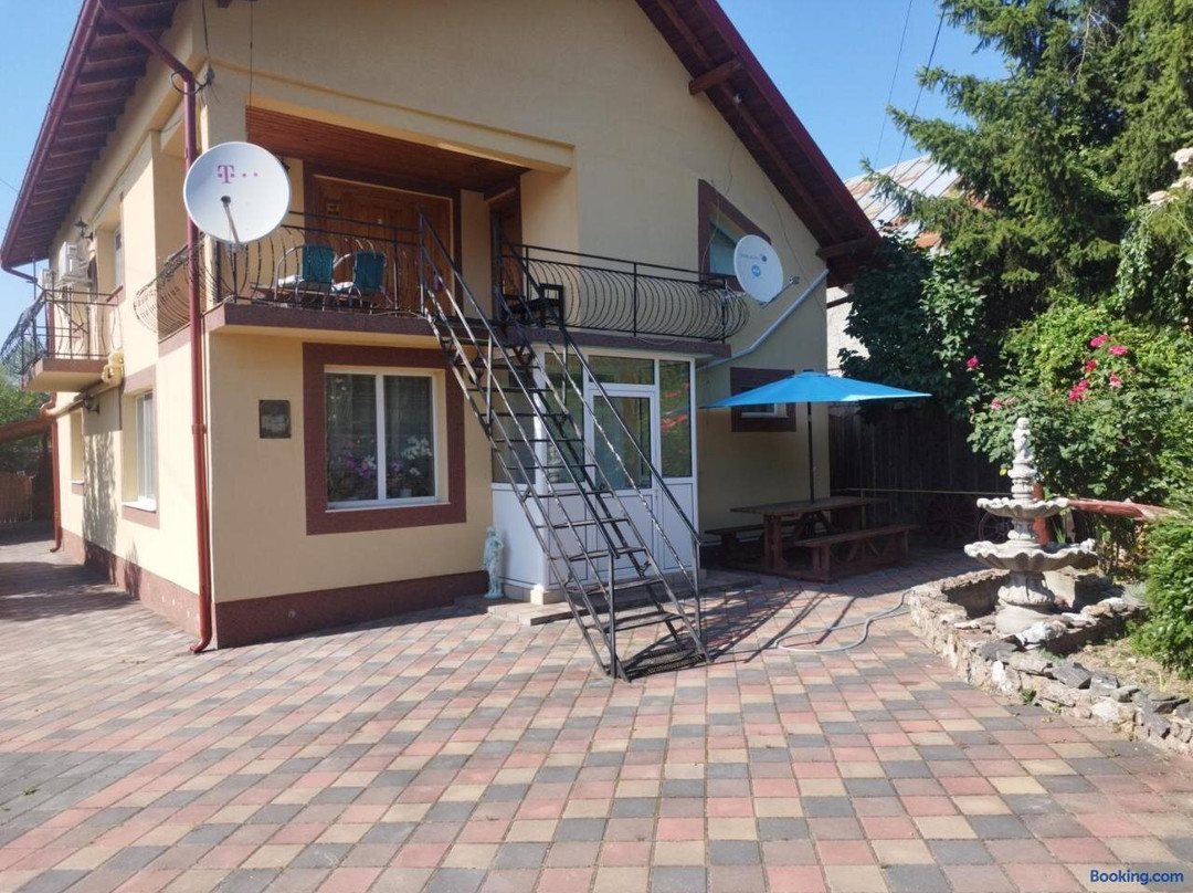 Casa Lidia și Gogu