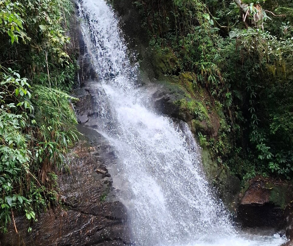 Cachoeira dos Macacos-Maromba必去景点