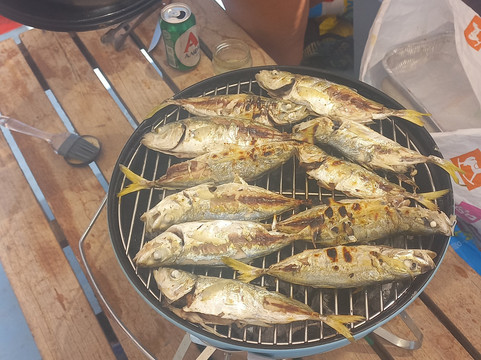 Petalioi Trips-Marmari必去景点