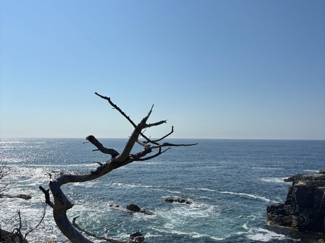 路易斯堡港住宿加早餐旅馆主图